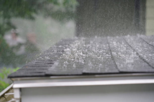 Best Steel Roofing  in Manchester, MI
